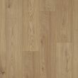 Falco - Vigo Oak